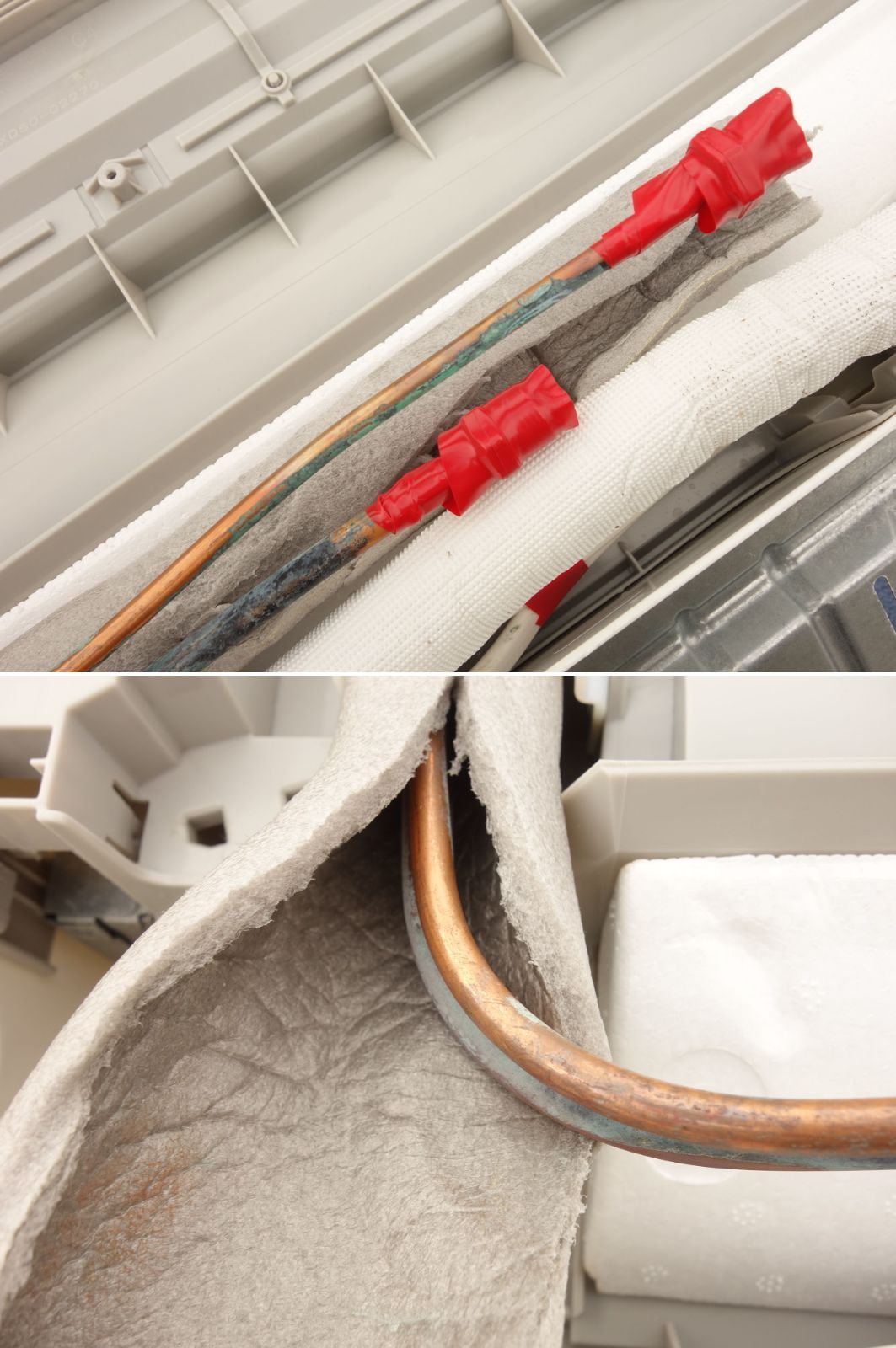 エオリア 標準モデル