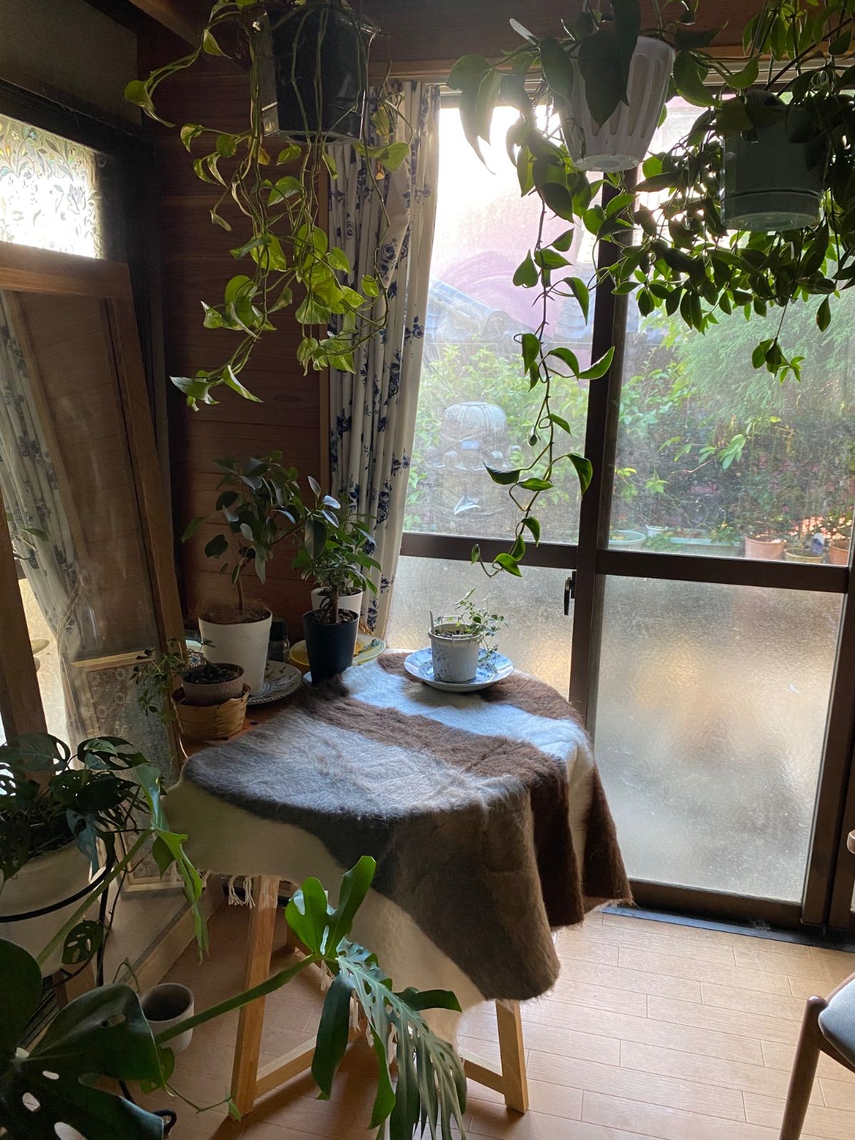 車やキャンプにもとても便利 一枚あると四季を通じて重宝です