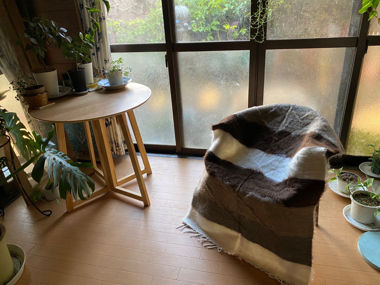 是非是非おすすめ