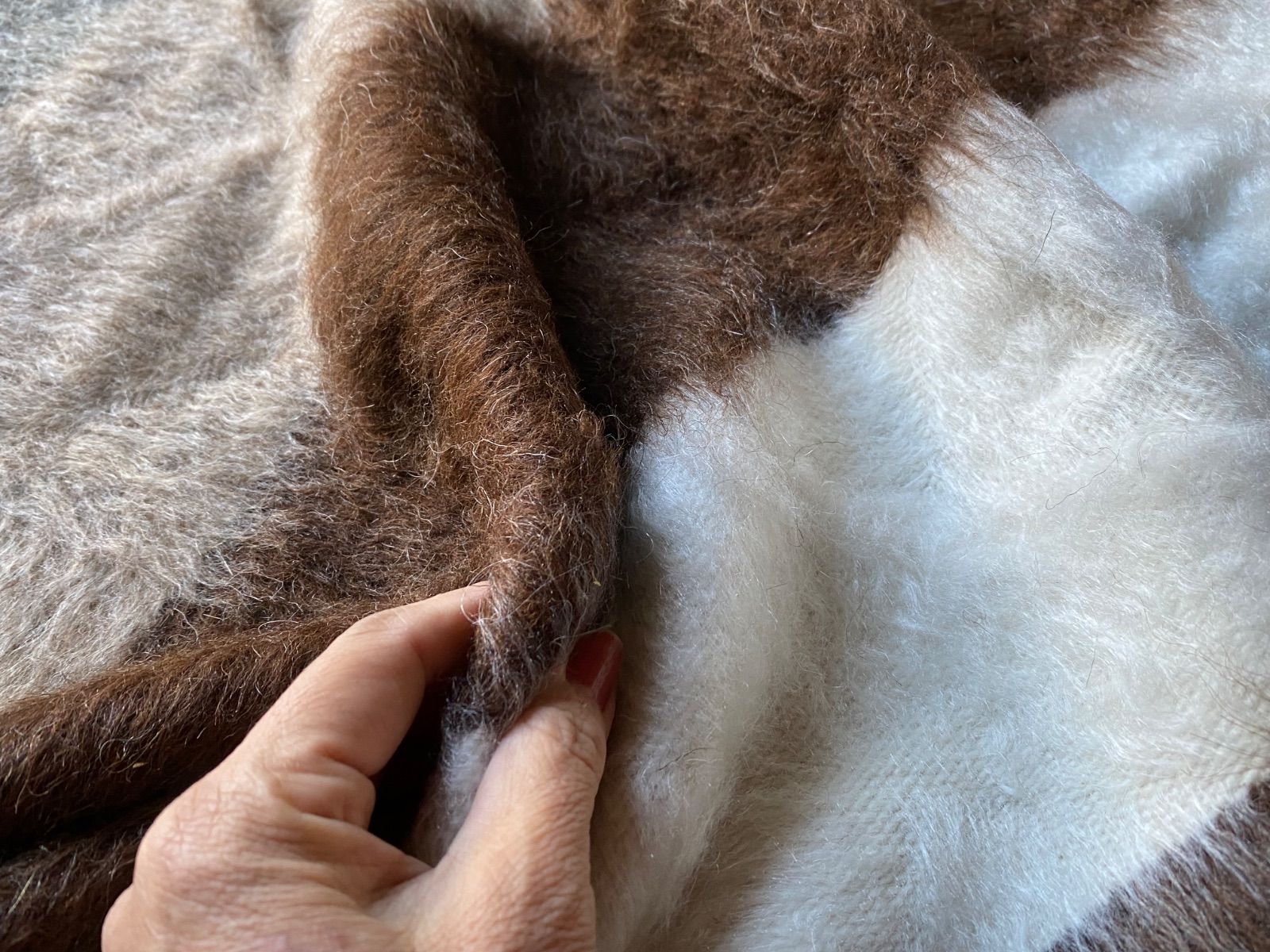 トルコのシイルトバッタニイェ