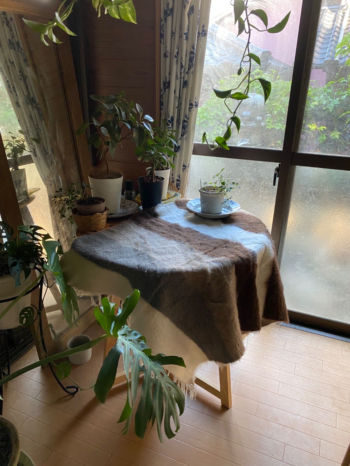 車やキャンプにもとても便利 一枚あると四季を通じて重宝です