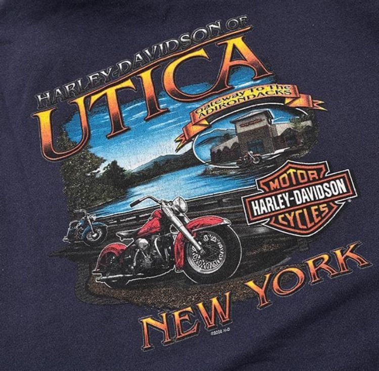 超希少 菅田将暉 着用 ハーレーダビッドソン ジップアップ フーディー