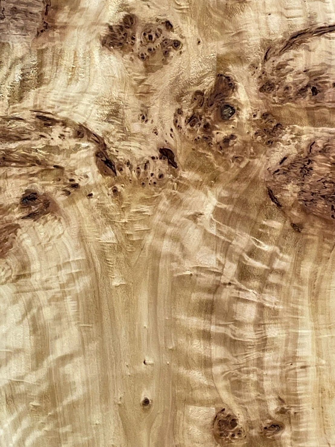 テレビボード 全国都道府県