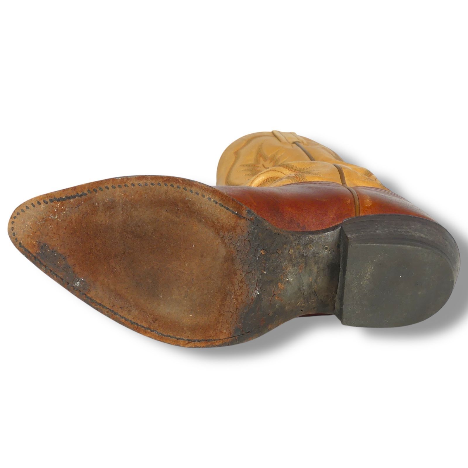 Lama トニーラマ