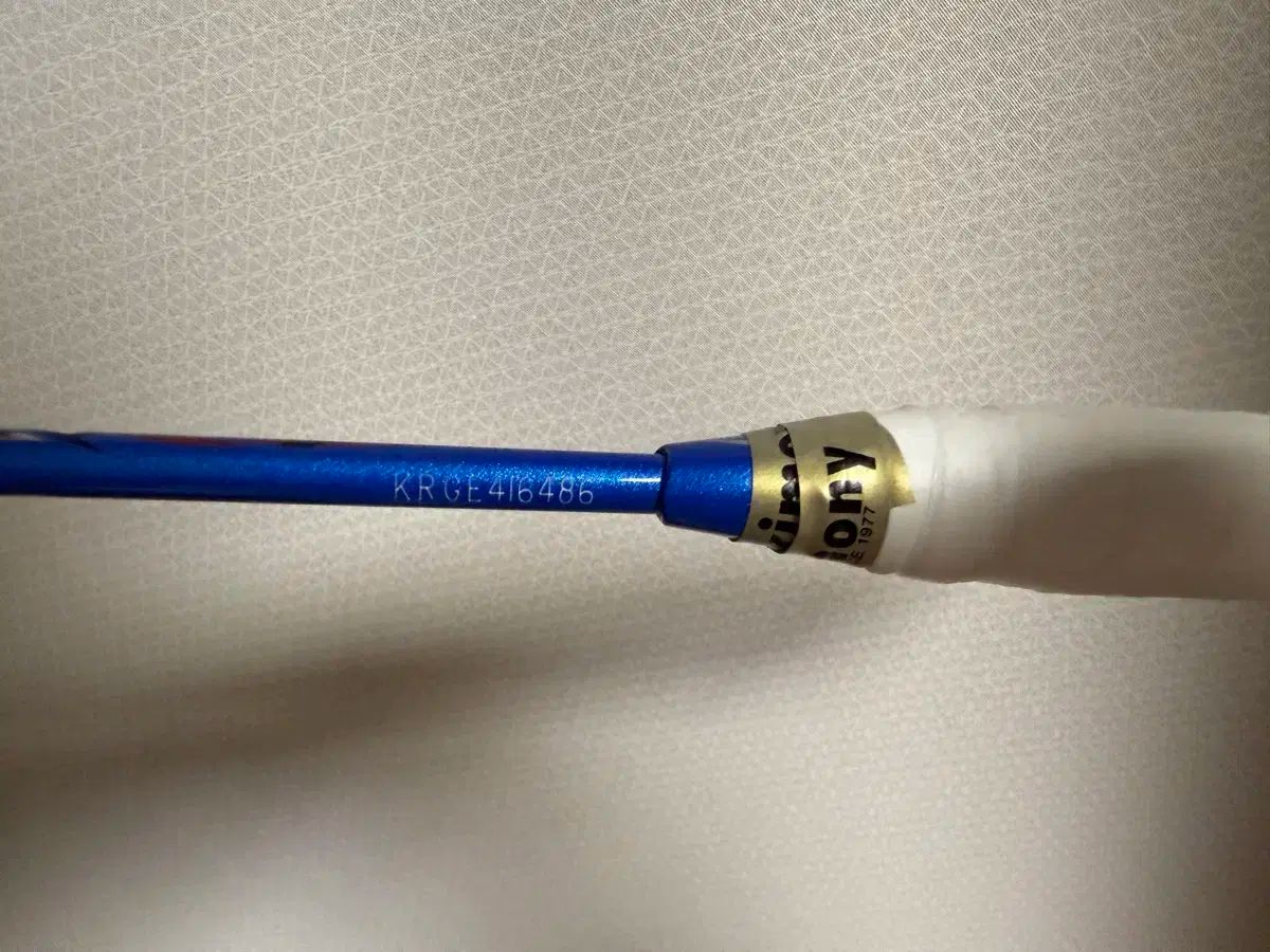 VICTOR ビクター RAIVE レイブ 12 4 U KR