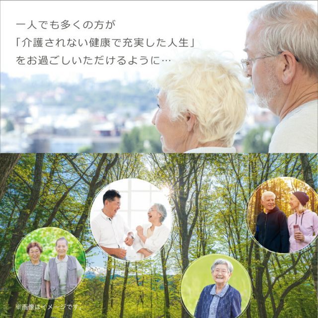 抱き枕 Dr.Care ドクターケア 抱き枕 ワーム VS 100%天然ラテックスでできた 抗菌 抗ウイルス効果つき抱き枕