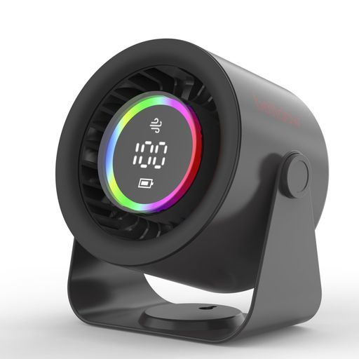 日本画 山口華楊・奥村土牛 お飾り扇