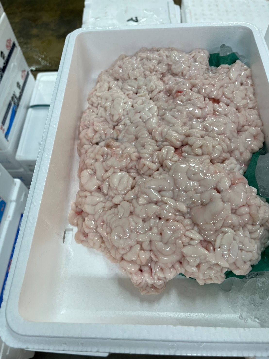 新物 北海道産真たち たちポン用 1kg