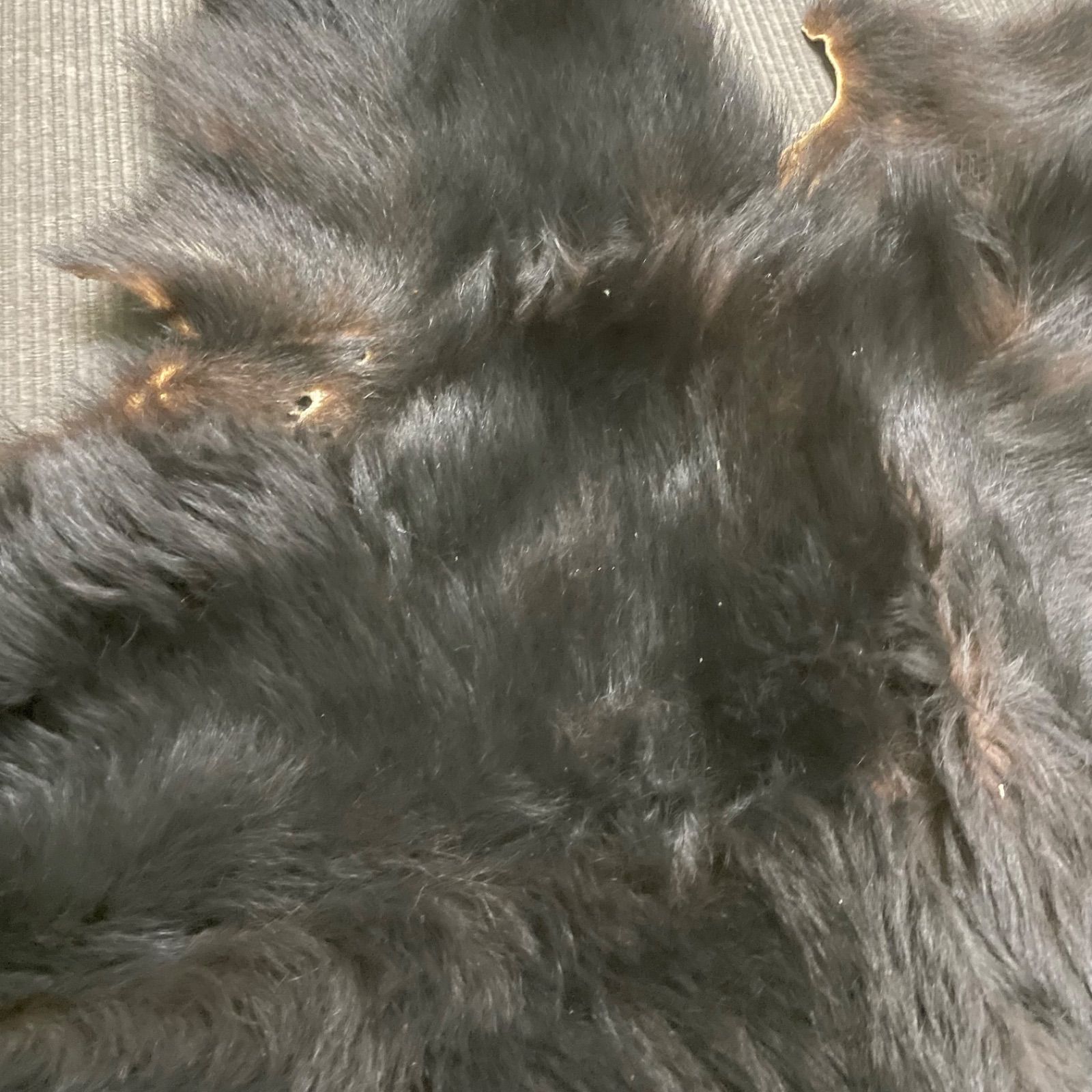 全長152cm インテリア