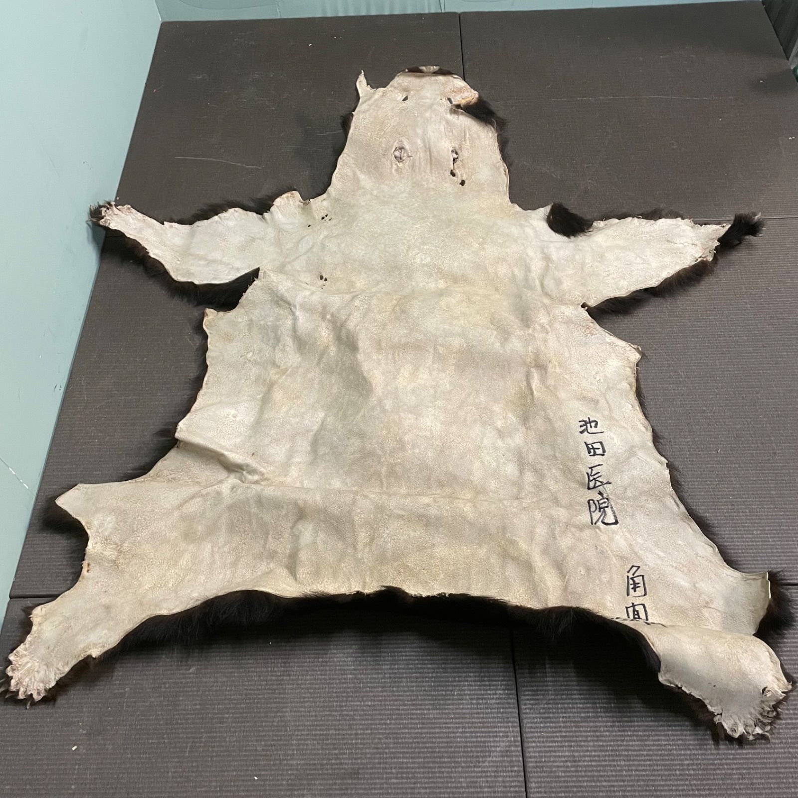 おしゃれになりたい ♭ 熊 敷物 毛皮 剥製 ラグ カーペット 全長152cm インテリア