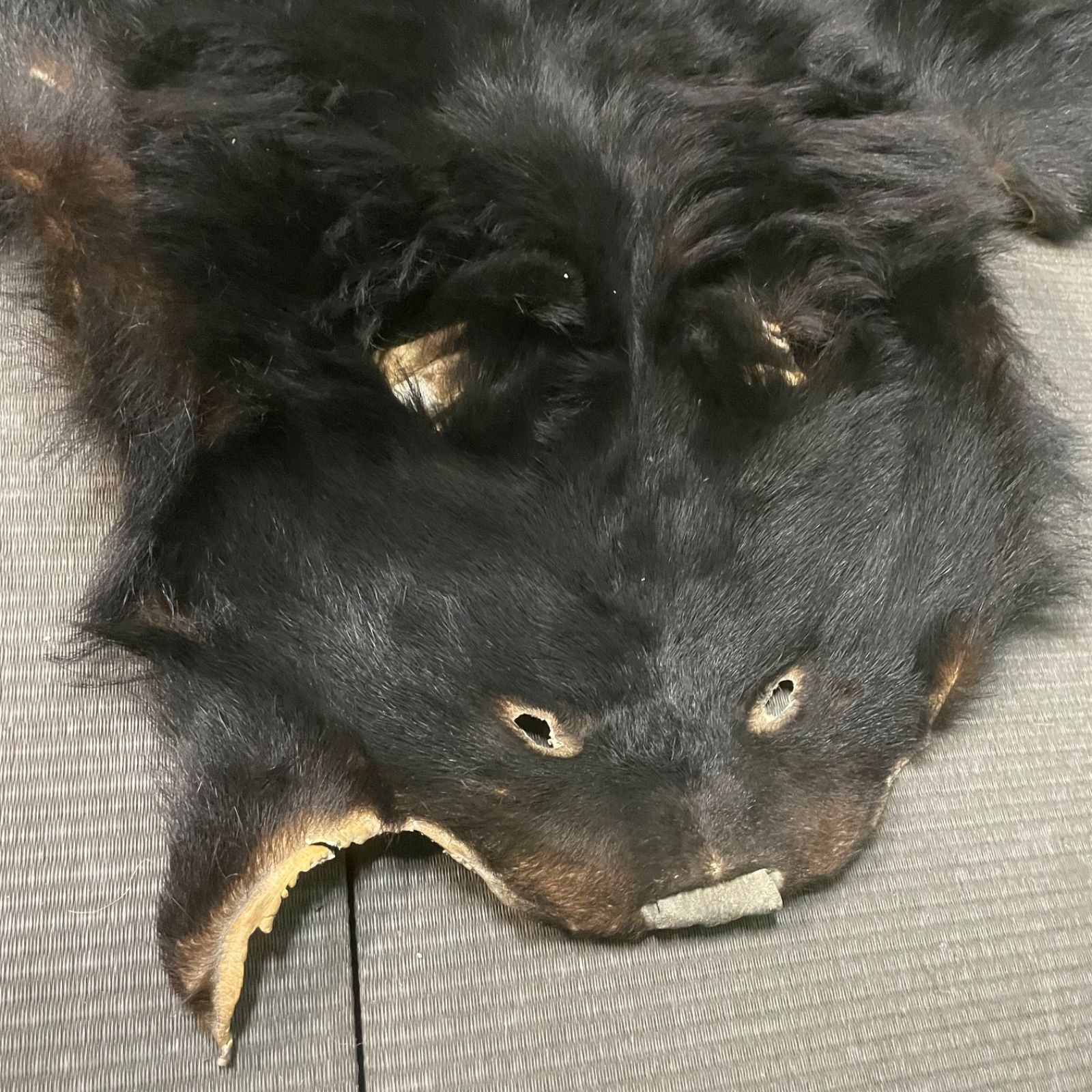 全長152cm インテリア