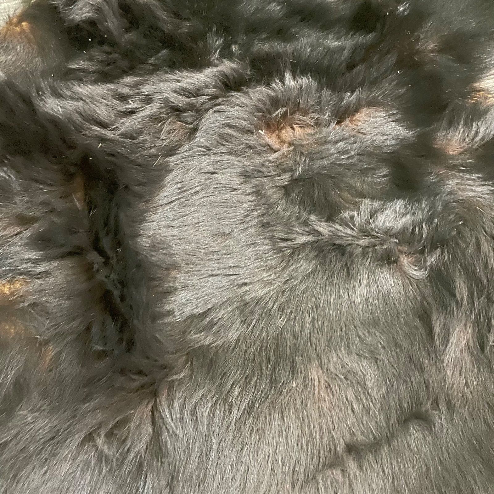 全長152cm インテリア