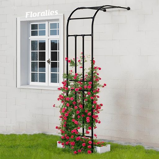 Floraliesガーデンアーチ半円形アーバーローズツタハーフアーチ高さ240cm壁際ガーデンアーチトレリス家庭庭つる植物用黒ステンレス鋼管パーゴラ アーチ ブラック-1セット長さ150x奥行40x高…