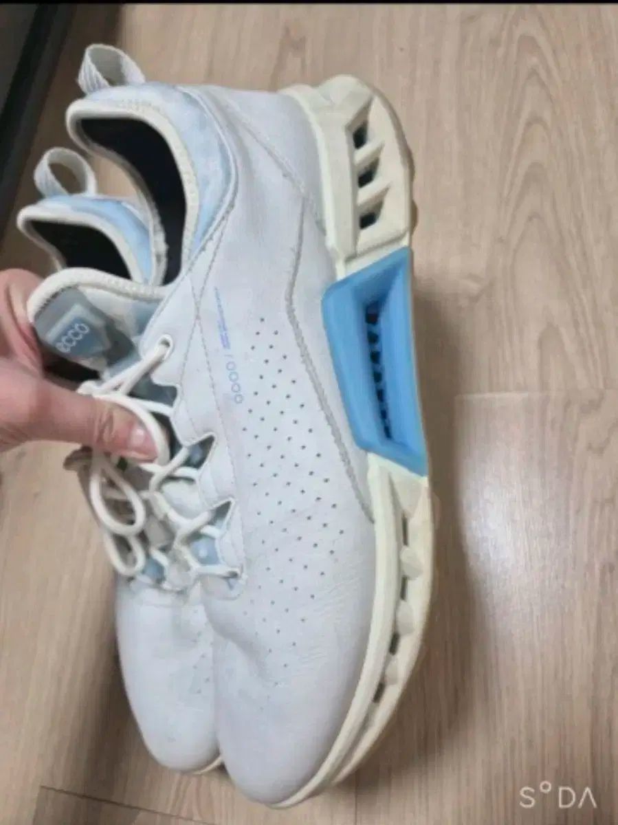 ゴアテックス バイオム