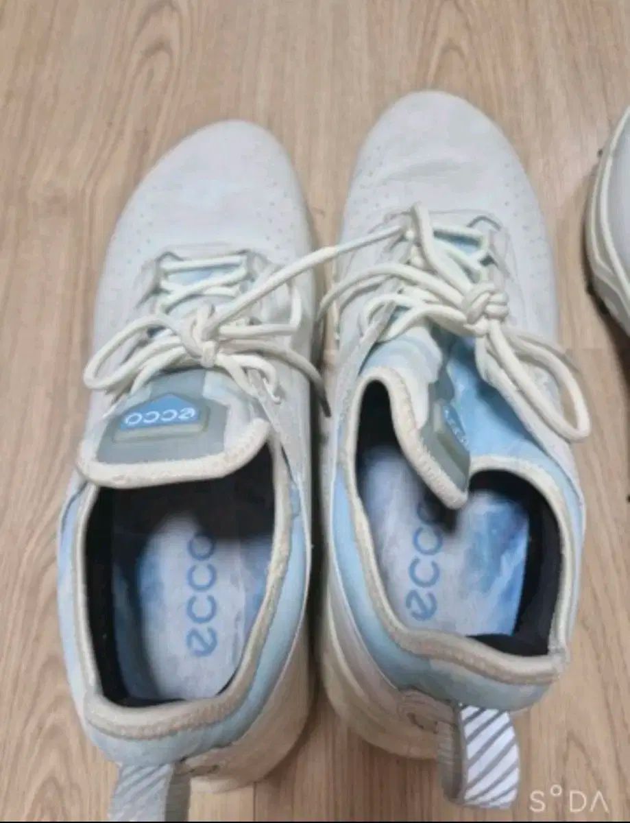  エコー ゴアテックス バイオム ゴルフシューズ 42 シューズ(男性用) ゴルフ