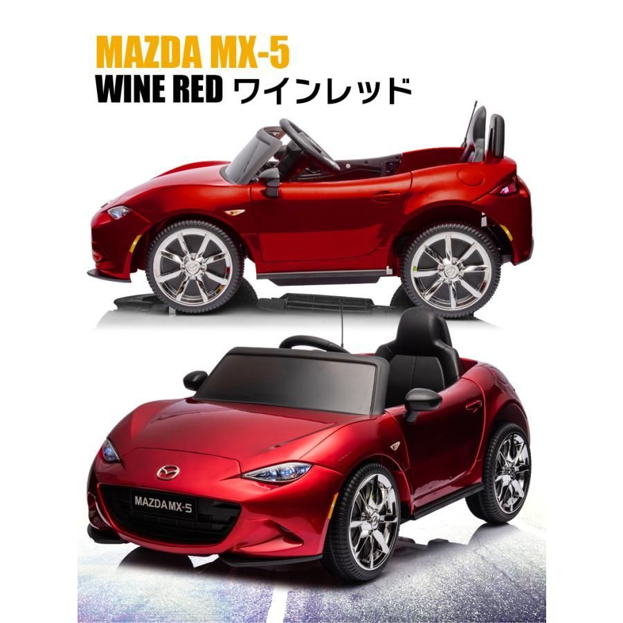 SIMPROP XS ジンプロップ リフトオフ 電動モーターグライダ 引取限定