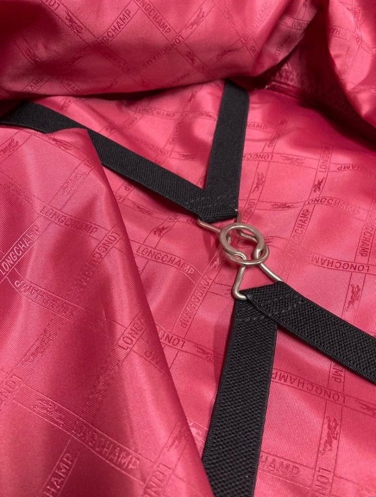 LONGCHAMP ロンシャン スーツケース キャラケースダイヤル錠付き トラベル ピンク ピンクスーツケース バックファッション NOITHATQUANGTHANH_NET