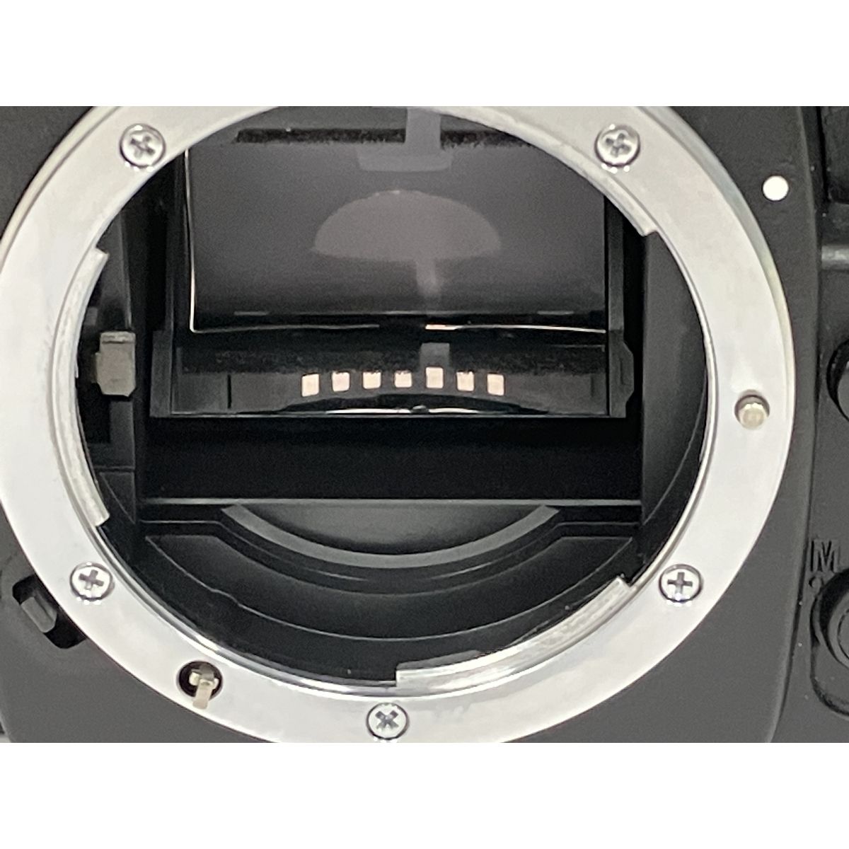 フィルムカメラ