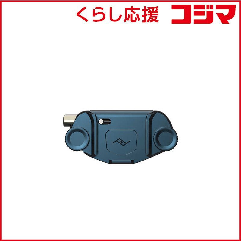 12SAM9 龍 駿介 「朝焼け富士」三ッ峠山にて 絵画 油絵 額入り アート