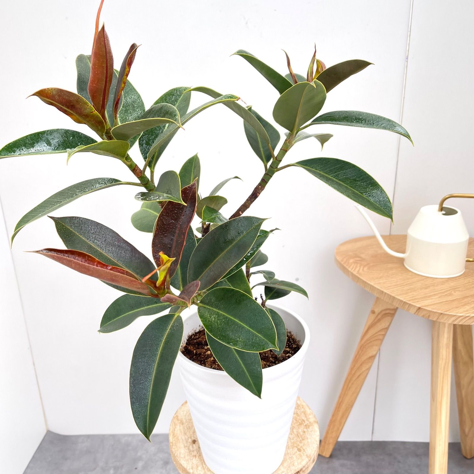 moyai47様専用早割り価格RED起毛 3x3mmBZセミドライ XLサイズ