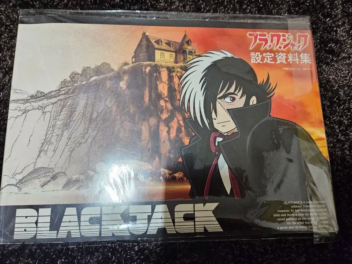 ブラックジーン アニメ 設定集 内容 写真 必須