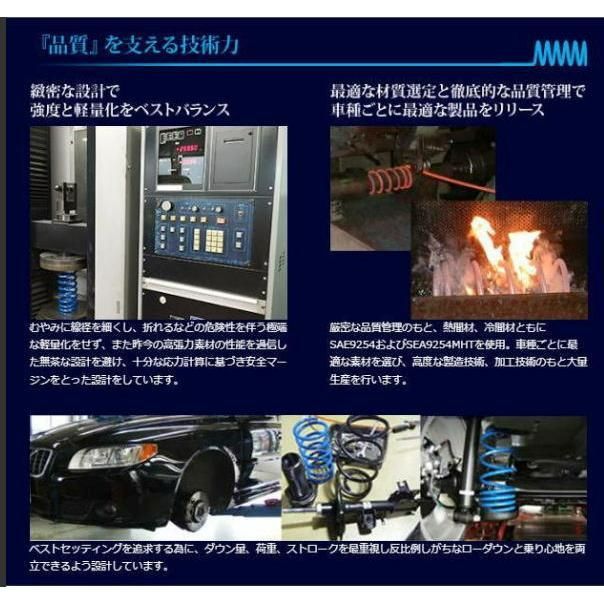 ESPELIR エスペリア スーパーダウンサス Type-2 スズキ スペーシアカスタム 1台分 ESS-1105 FFCRYSTALESIA_COM