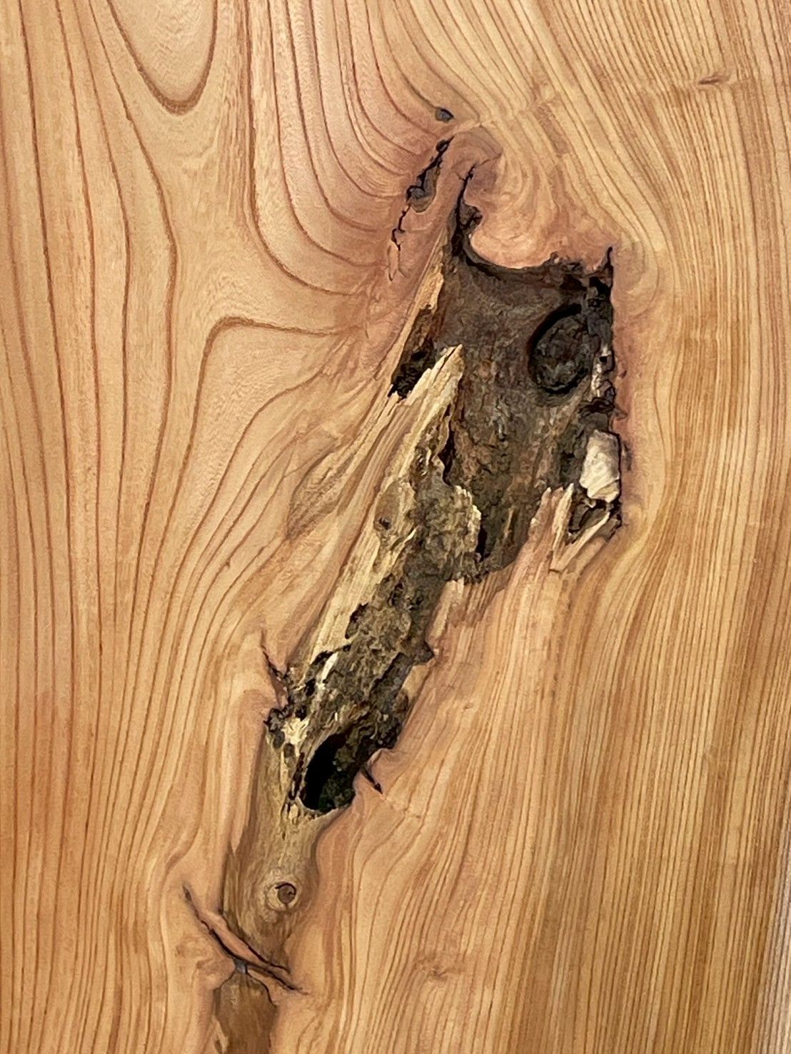 欅 M430 一枚板 乾燥材 棚板 カウンター テーブル DIY 耳付 天板 テレビボード 全国都道府県 MARWIL-DEMENAGEMENTS_CH