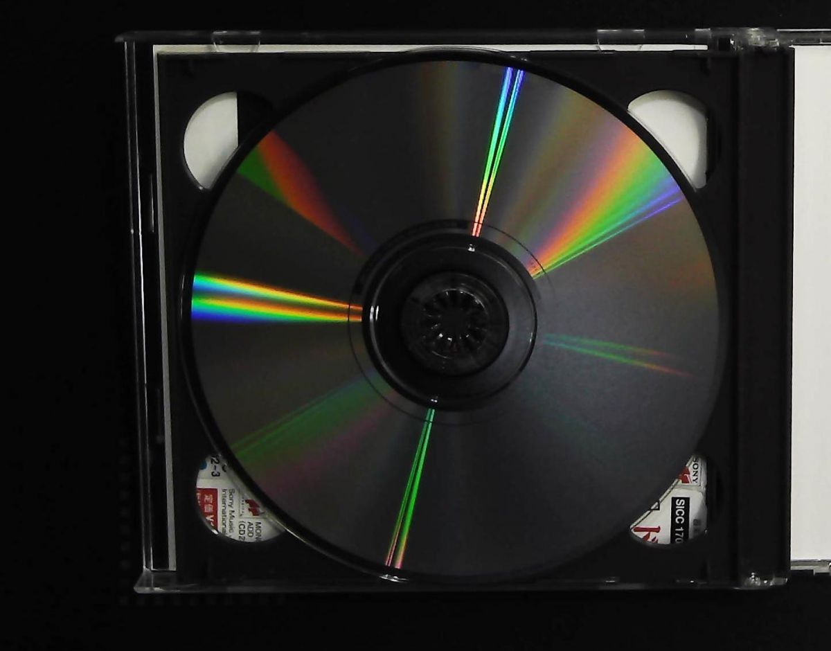 カザドシュ ロベール