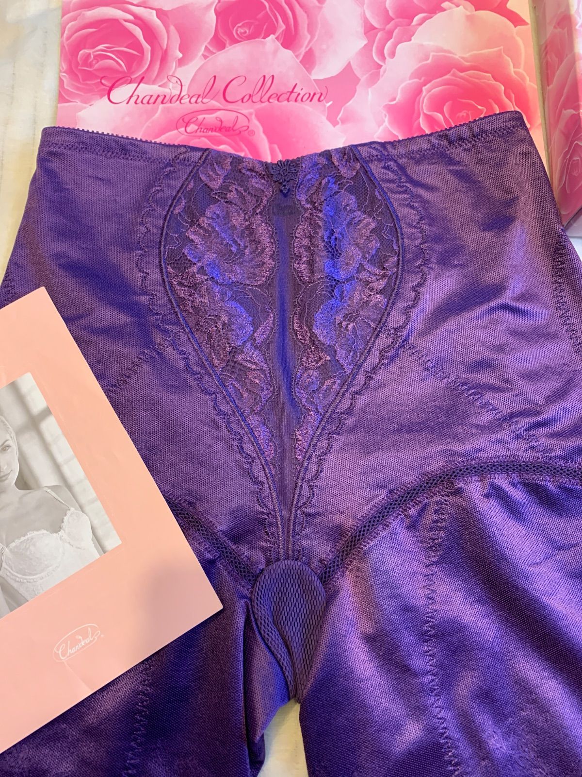 シャンデールピエゾバイオレットW76フルロングガードル