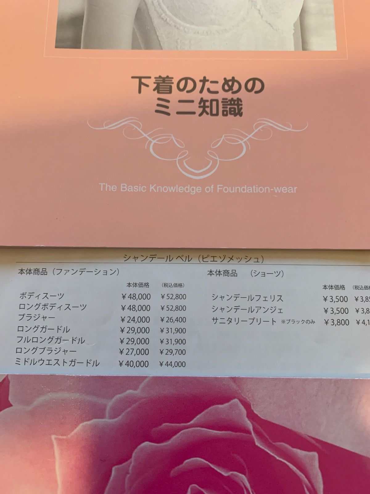 シャンデールピエゾバイオレットW76フルロングガードル