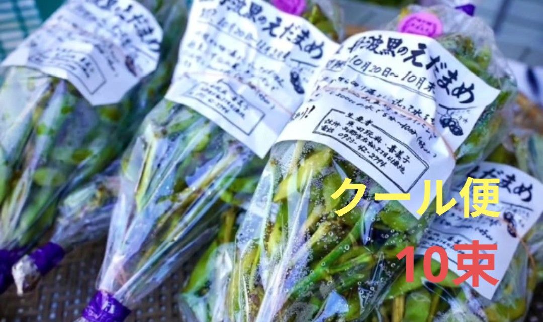 こだわりの丹波黒枝豆 10束 約5kg