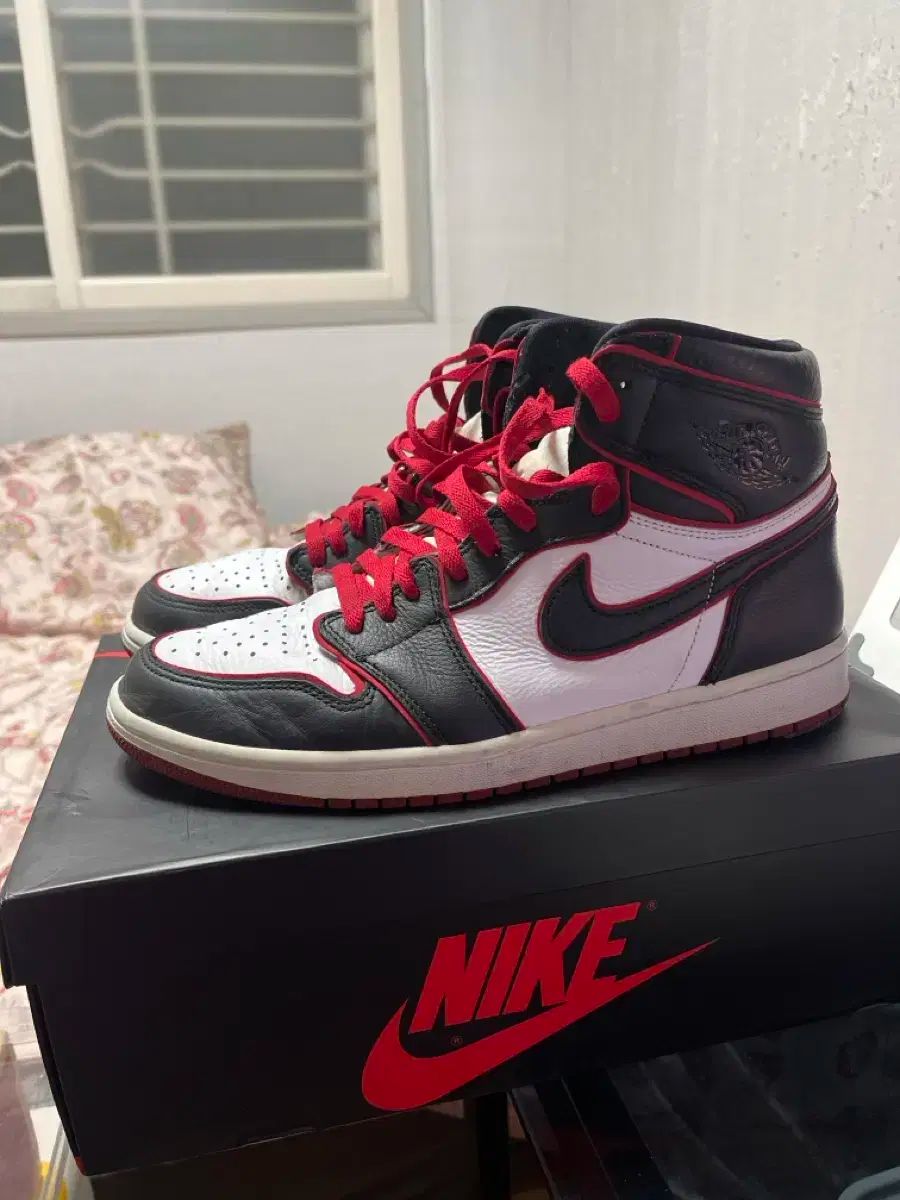 ジョーダン1 ブラッドライン 290