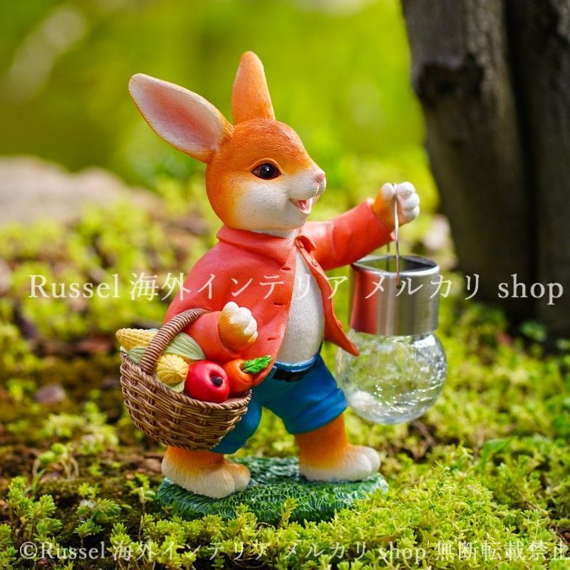 太陽光 ソーラー