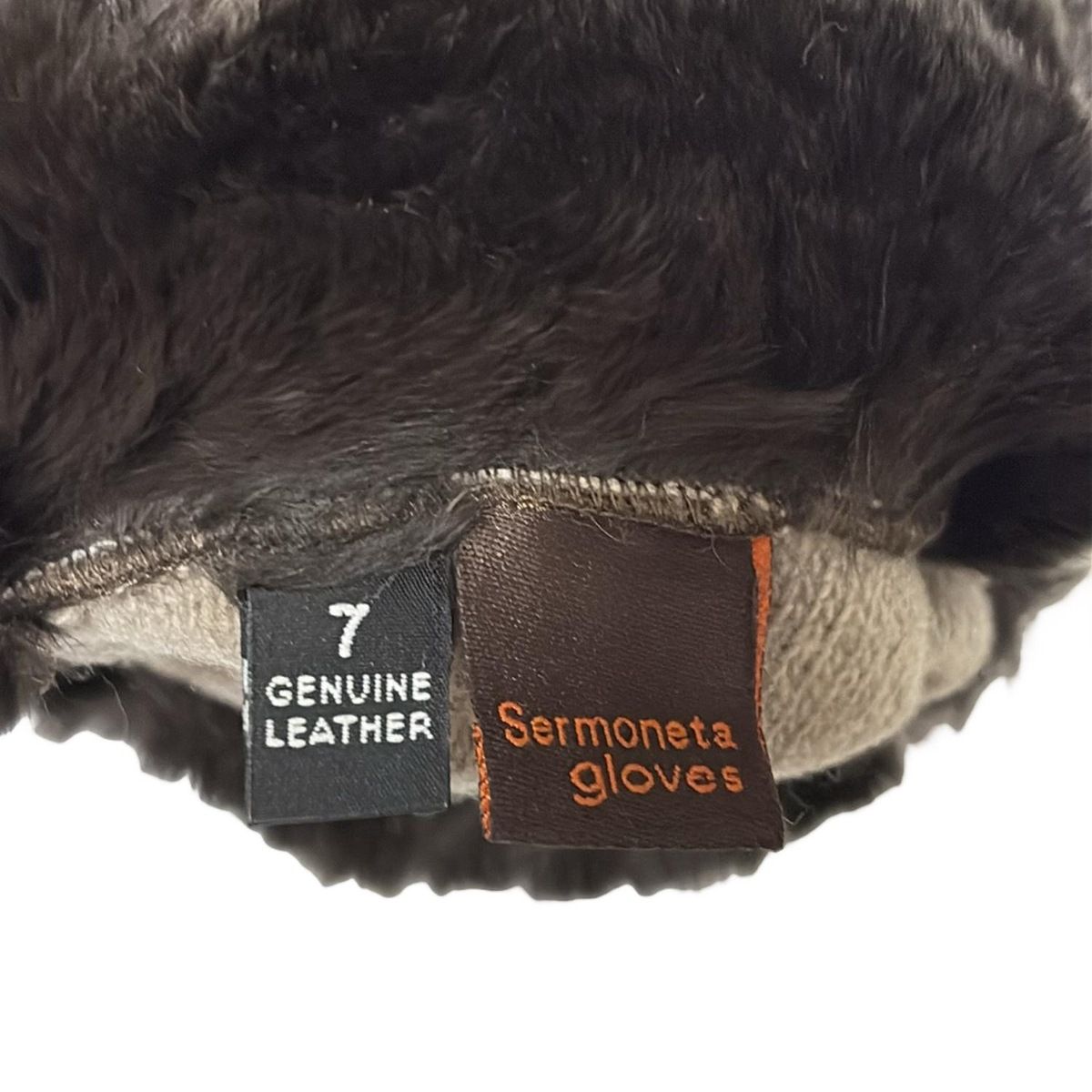 セルモネータグローブス