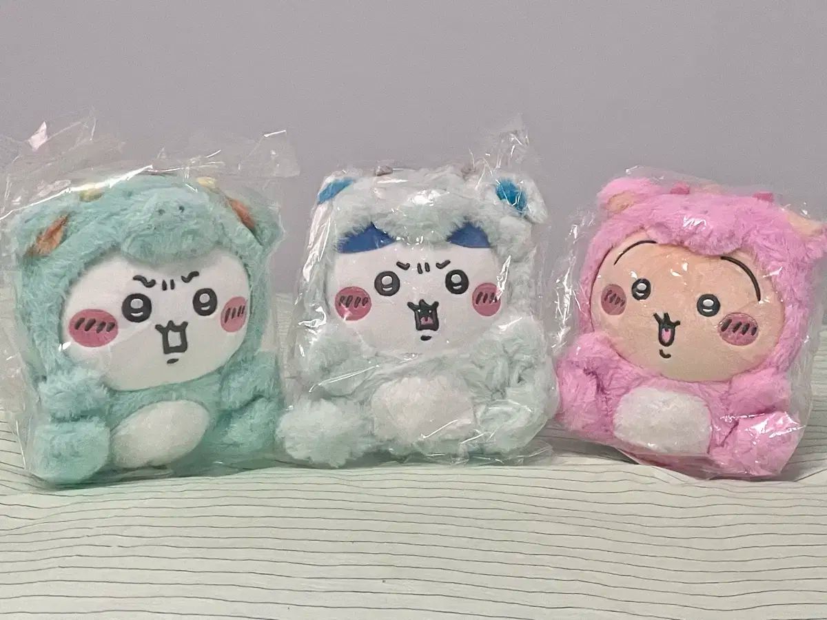 ハチワレ うさぎ