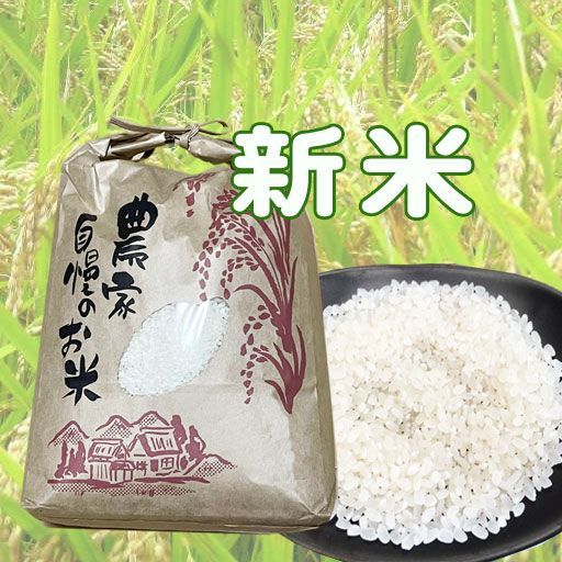 令和7年 新米 単一原料米 白米 15kg ひのひかり