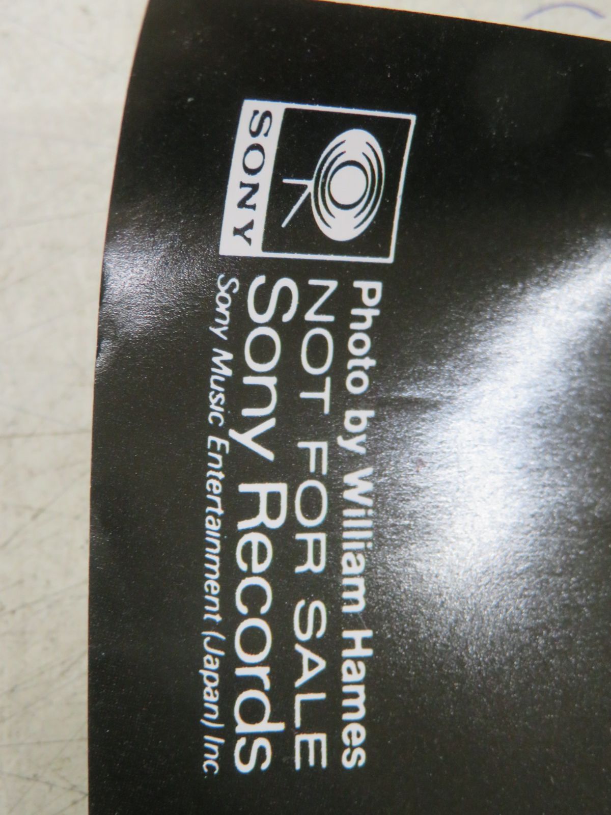 □1F2629 / ポスター(B2サイズ) / デイヴィッド・カヴァーデイル