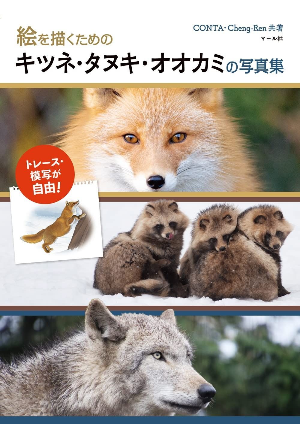 絵を描くためのキツネ タヌキ オオカミの写真集