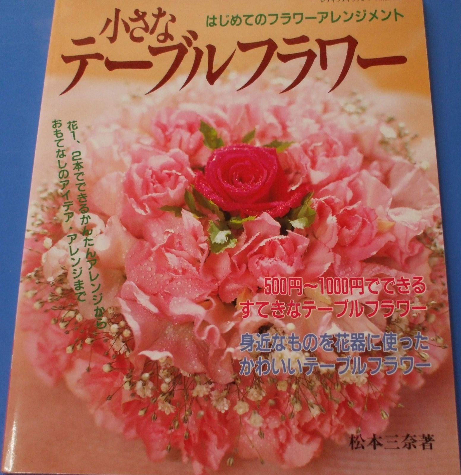 おしょうさんとあんねんさん - ：冨田博之／平野琳人 国土社 昔話 日本