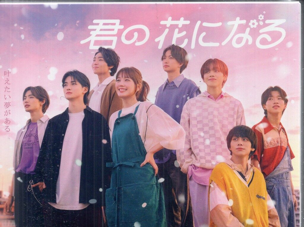 TCエンタテインメント ドラマDVD 君の花になる DVD-BOX