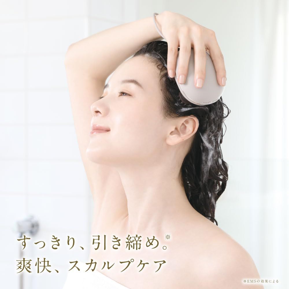 FESTINO フェスティノ EMSヘッドスパ ミニ SMHB-045 防水 軽量 USB充電式 電動 頭皮 ギフト ホワイト