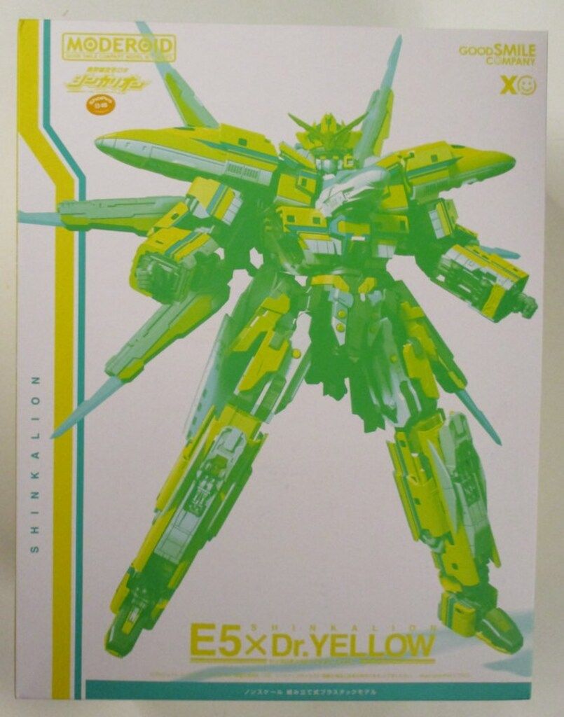 H031激レア貴重種！大株！ヒドノフィツム カミニフェラム現地球4/14輸入 H031激レア貴重種！大株！ヒドノフィツム カミニフェラム現地球4/14