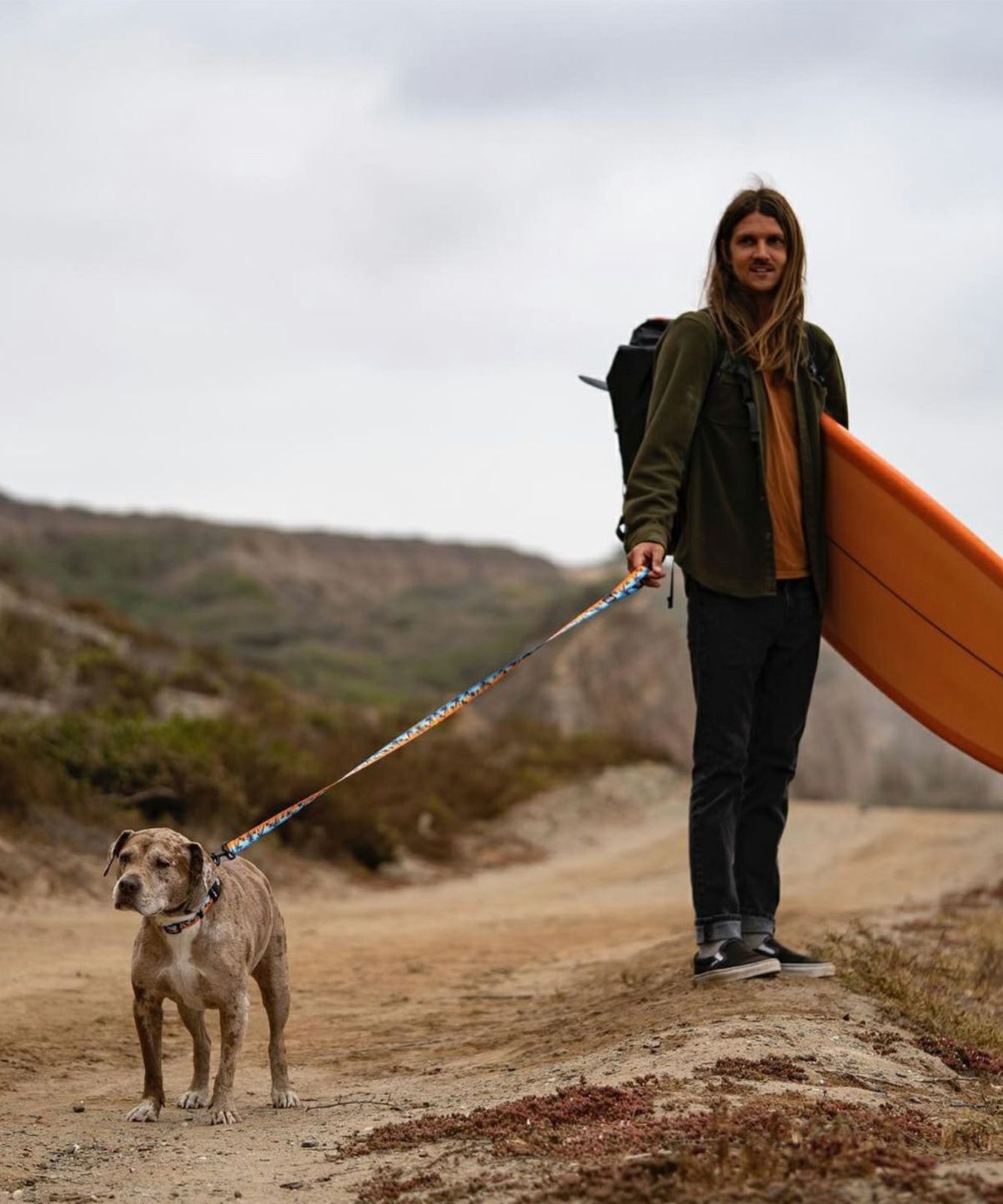 ムラスポ公式】新品 WOLFGANG ウルフギャング 犬用 首輪 SunsetPalms