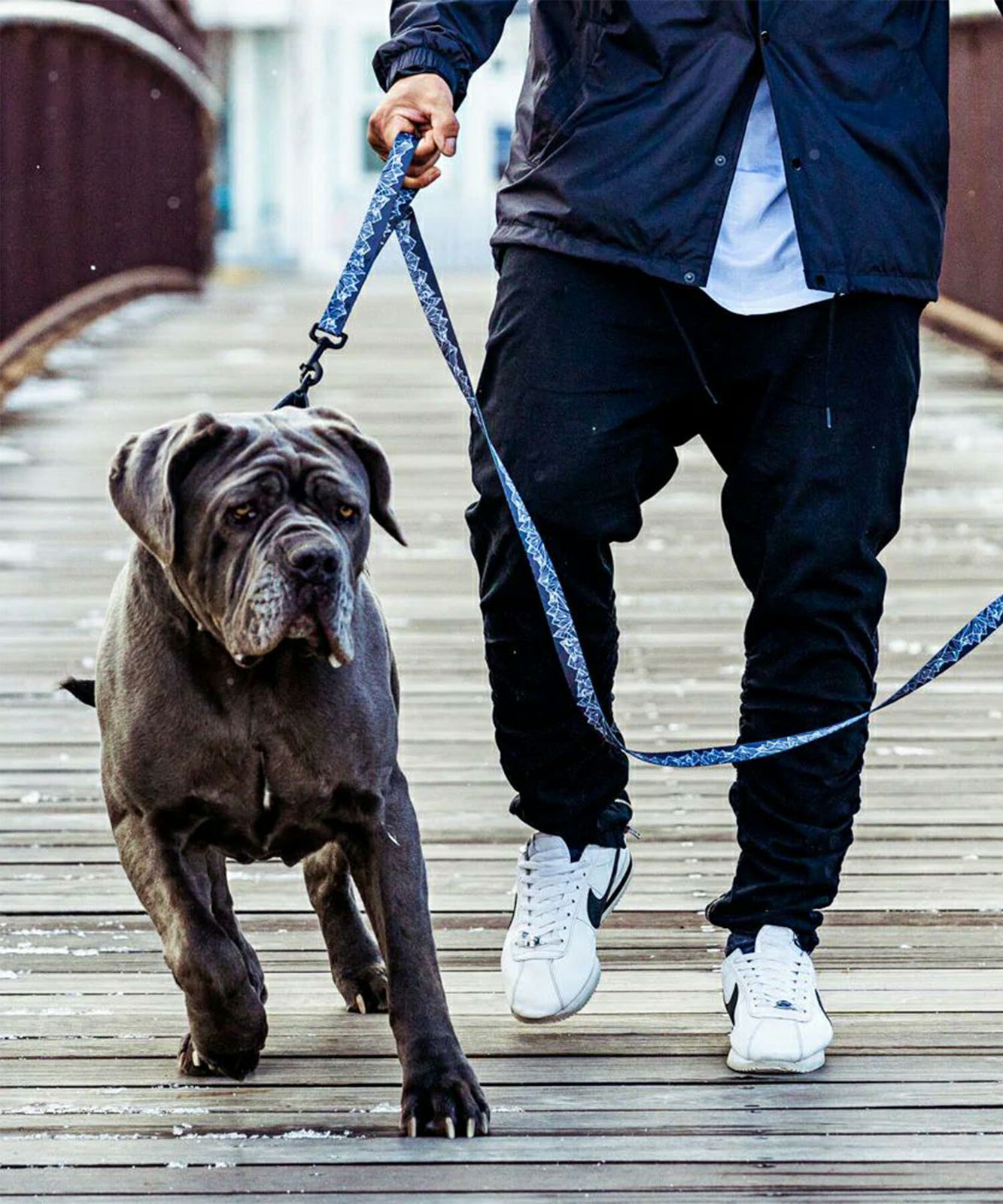 WOLFGANG MAN＆BEAST ウルフギャング 犬 ハーネス 原産国 USA/SunsetPalms HARNESS サイズ(L) WOLFGANG MAN\u0026BEAST⁄ウルフギャングマンアンドビースト 犬用 ハーネス