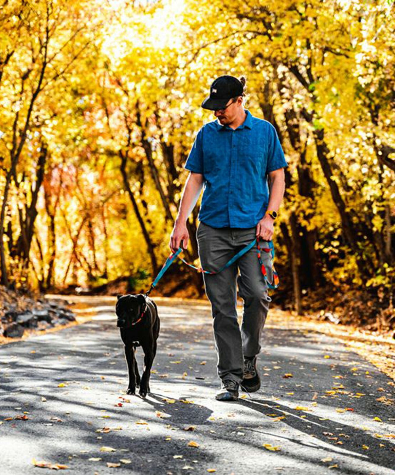 シャッターシェイプス