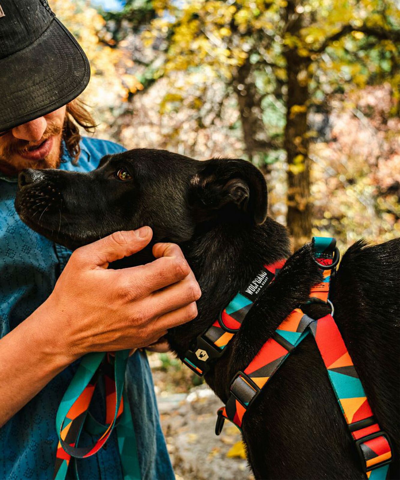 中型犬用 大型犬用