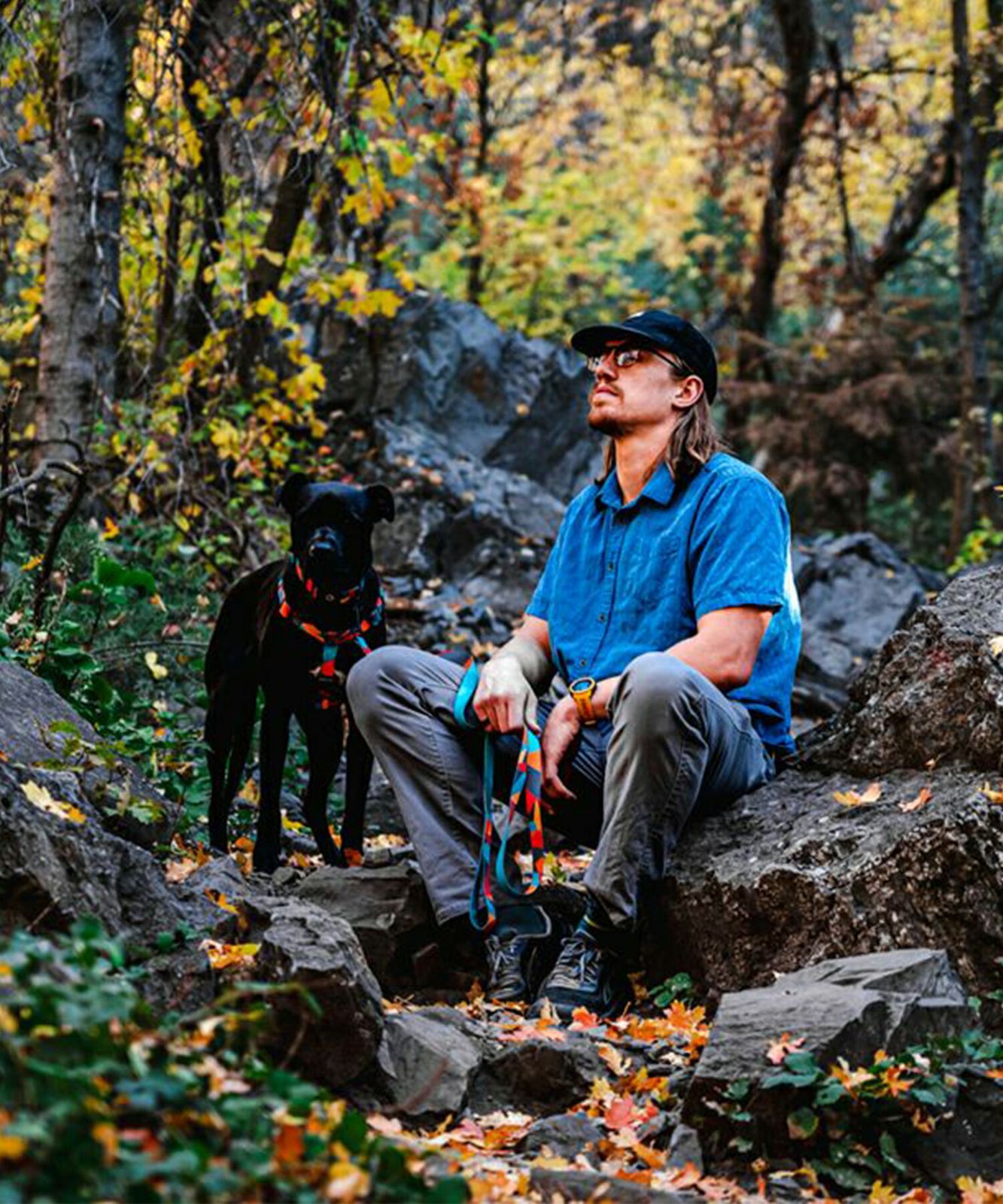 ShatterShapes Harness
