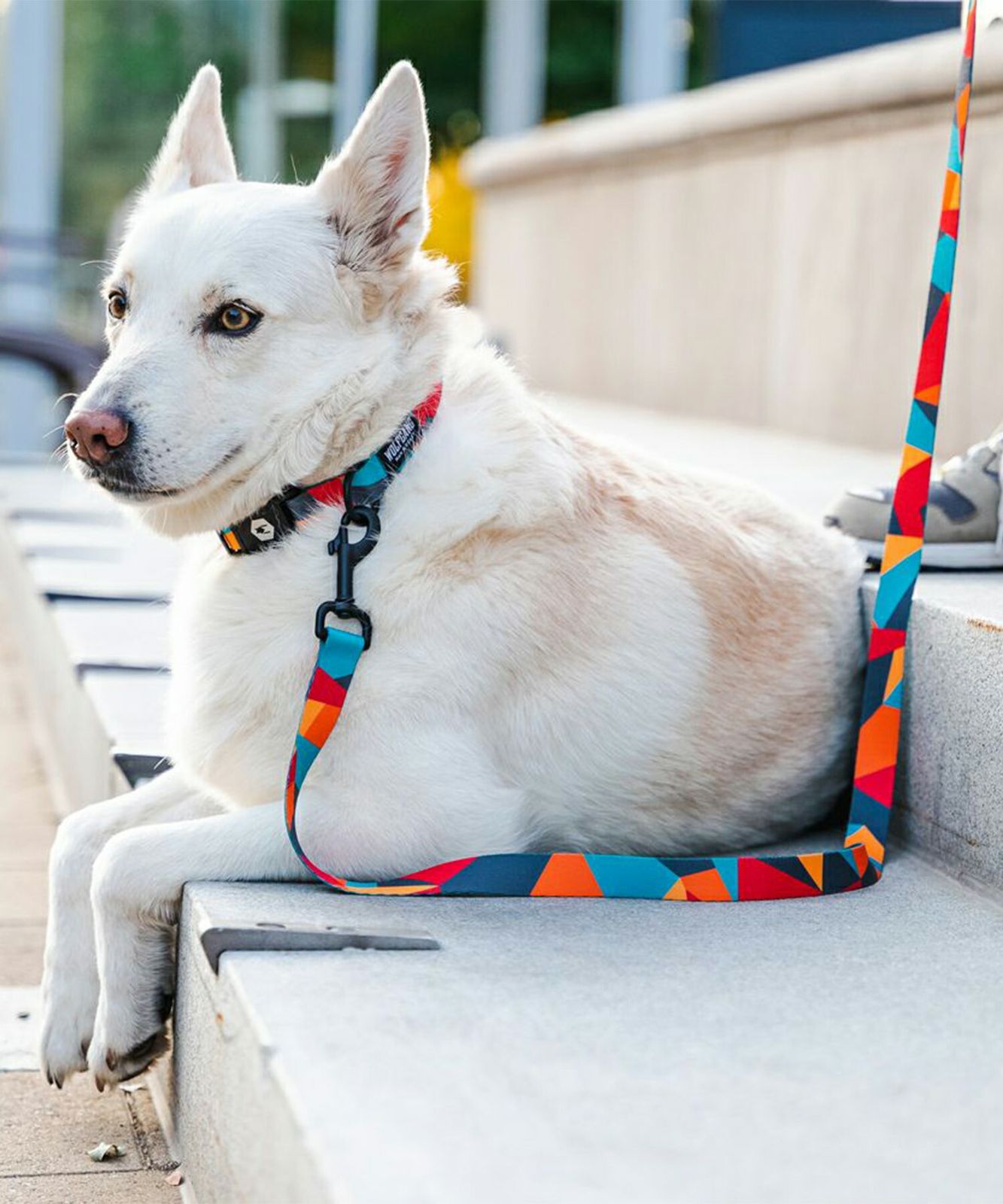 ムラスポ公式】新品 WOLFGANG ウルフギャング 犬用 リード