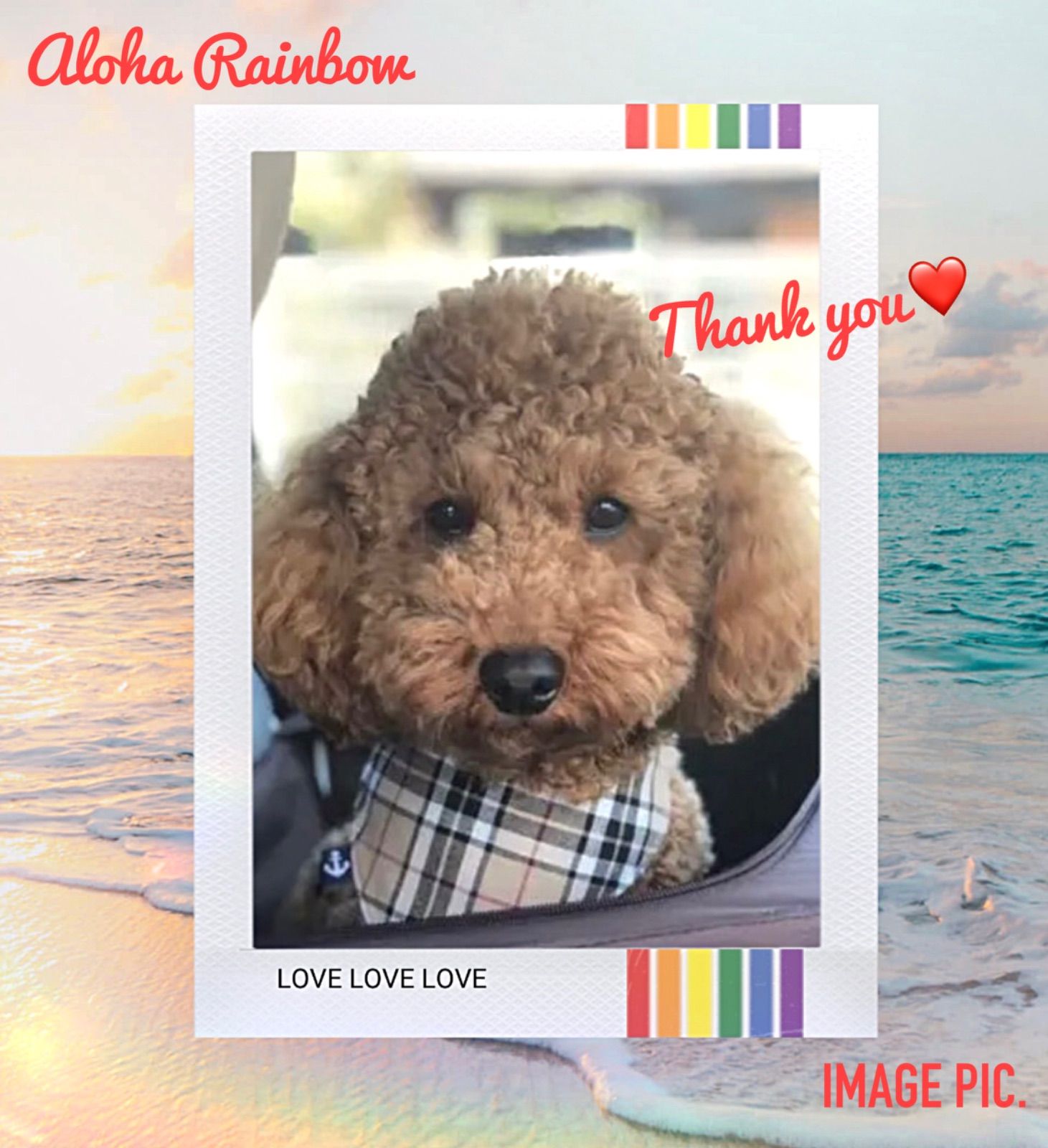 ☘️No.3129☘️ 犬猫用 リバーシブル バンダナ スタイ Sサイズ