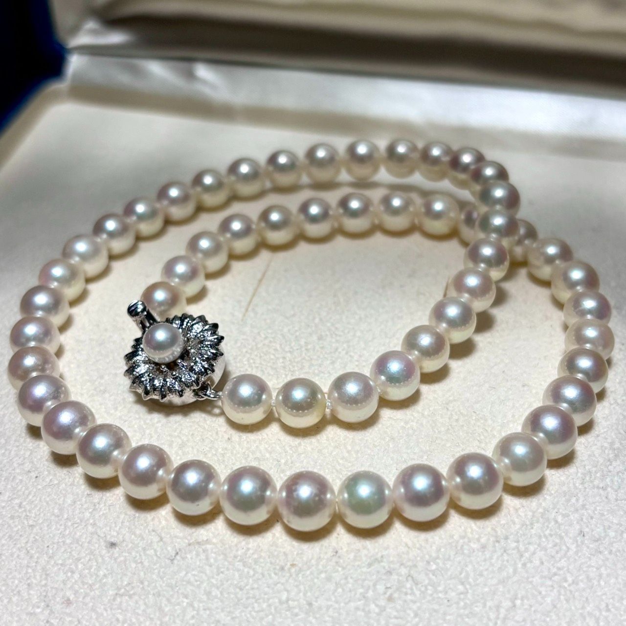 テリ強】アコヤパール ネックレス 約7~7.5mm 約42cm シルバー金具 テリ